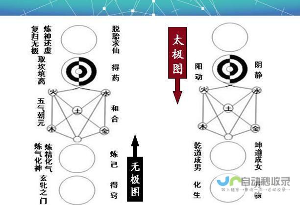 无极网站：探索无限可能，深度体验数字世界