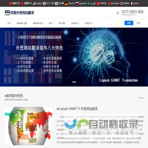 ●同推翻译(Copush Translate)_外贸网站翻译