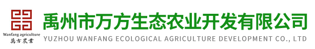 红薯粉条,禹州红薯粉条-禹州市万方生态农业开发有限公司